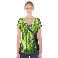 Spider Spiders Web Spider Web Short Sleeve Front Detail Top