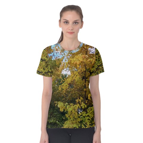 Tree In Early Autumn With Kitty Women s Cotton Tee by SusanFranzblau