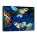 Marine Fishes Canvas 16  x 12  View1
