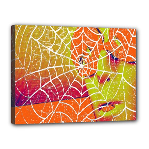 Orange Guy Spider Web Canvas 16  X 12  by Simbadda