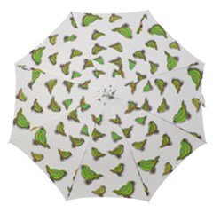 Birds Straight Umbrellas