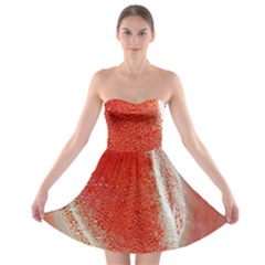 Red Pepper And Bubbles Strapless Bra Top Dress by Amaryn4rt