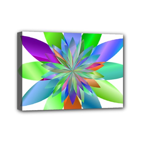 Chromatic Flower Variation Star Rainbow Mini Canvas 7  X 5  by Alisyart