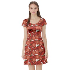 Red Vegetable Organic Food Ripe Sliced Tomato Pattern Short Sleeve Skater Dress