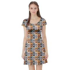 Colorful Pattern With Kittens In Fashionable Clothes Short Sleeve Skater Dress
