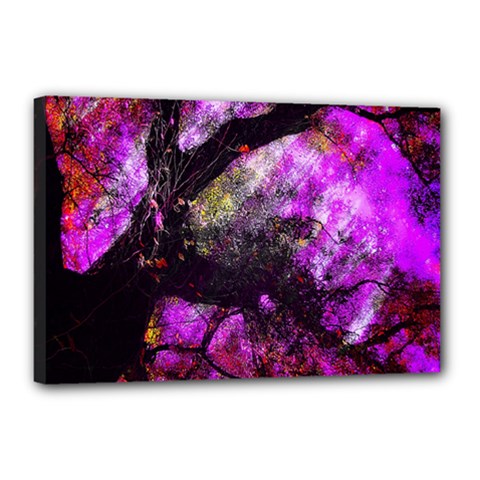 Pink Abstract Tree Canvas 18  X 12  by Nexatart