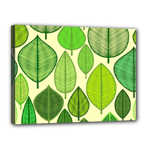 Leaves Pattern Design Canvas 16  X 12  by TastefulDesigns