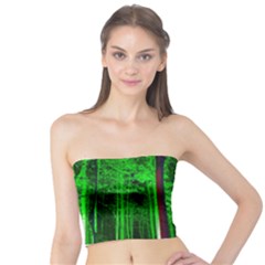 Spooky Forest With Illuminated Trees Tube Top by Nexatart