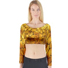 Gold Long Sleeve Crop Top by Mariart