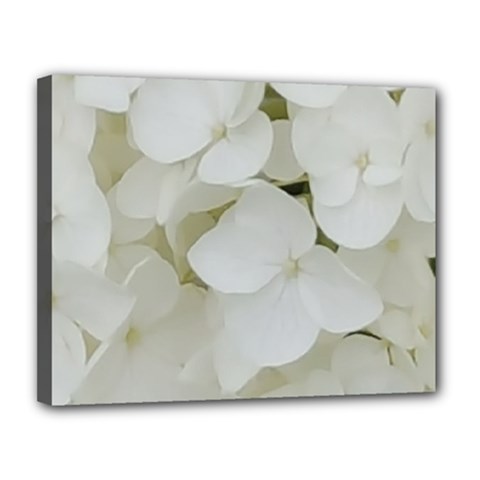 Hydrangea Flowers Blossom White Floral Photography Elegant Bridal Chic  Canvas 14  X 11  by yoursparklingshop