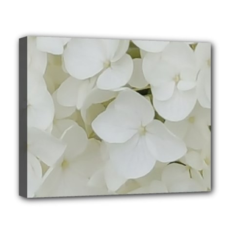 Hydrangea Flowers Blossom White Floral Photography Elegant Bridal Chic  Deluxe Canvas 20  X 16   by yoursparklingshop