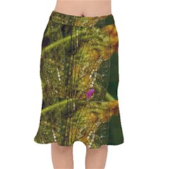 Dragonfly Dragonfly Wing Insect Mermaid Skirt by Nexatart