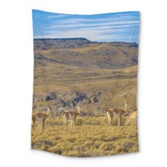 Group Of Vicunas At Patagonian Landscape, Argentina Medium Tapestry by dflcprints