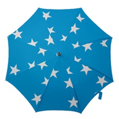 Starry Plough Flag Hook Handle Umbrellas (small) by abbeyz71