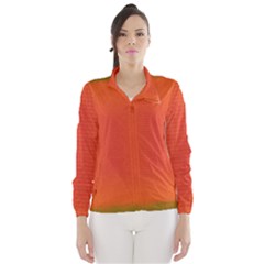 Scarlet Pimpernel Writing Orange Green Wind Breaker (women) by Mariart