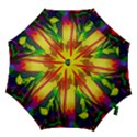 Abstract Vibrant Colour Botany Hook Handle Umbrellas (Medium) View1