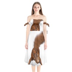 Squirrel Wild Animal Animal World Shoulder Tie Bardot Midi Dress