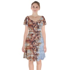 Peeling Paint               Short Sleeve Bardot Dress by LalyLauraFLM