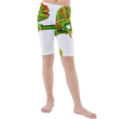 Chameleons Kids  Mid Length Swim Shorts by Valentinaart