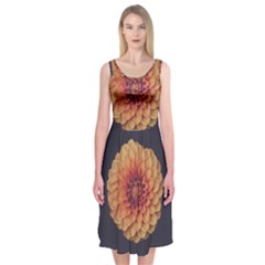 Art Beautiful Bloom Blossom Bright Midi Sleeveless Dress by Nexatart