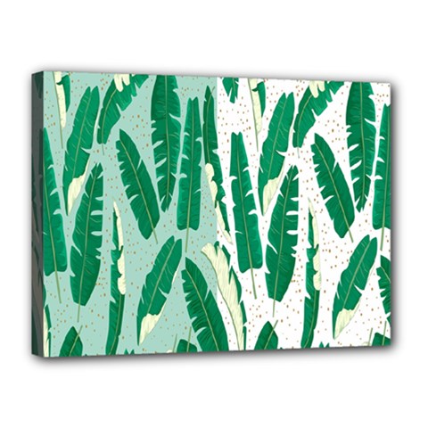 Banana Leaf Green Polka Dots Canvas 16  X 12  by Mariart