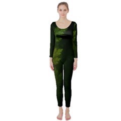 Beautiful Fractal Pines In The Misty Spring Night Long Sleeve Catsuit by jayaprime