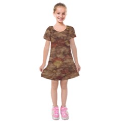Brown Texture Kids  Short Sleeve Velvet Dress by BangZart
