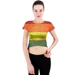 Five Wall Colour Crew Neck Crop Top by BangZart