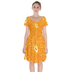 Orange Slice Short Sleeve Bardot Dress by BangZart