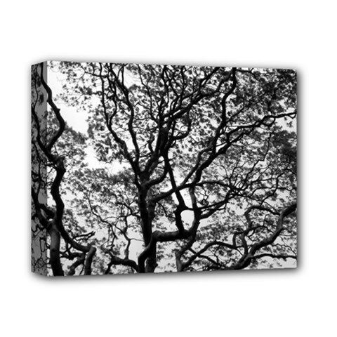 Tree Fractal Deluxe Canvas 14  X 11  by BangZart