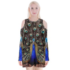 Peacock Velvet Long Sleeve Shoulder Cutout Dress by BangZart