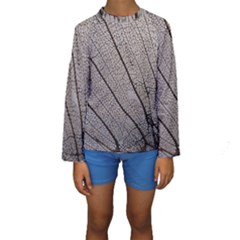 Sea Fan Coral Intricate Patterns Kids  Long Sleeve Swimwear by BangZart