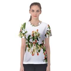 Apple Branch Deciduous Fruit Women s Sport Mesh Tee