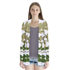 Berries Berry Food Fruit Herbal Drape Collar Cardigan by Nexatart