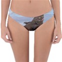 Komodo Dragons Fight Reversible Hipster Bikini Bottoms View1