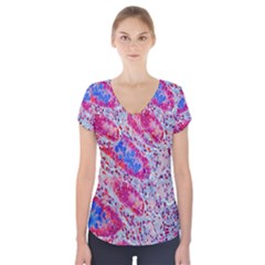 Histology Inc Histo Logistics Incorporated Alcian Blue Short Sleeve Front Detail Top by Mariart