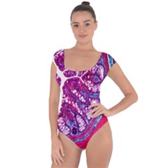 Histology Inc Histo Logistics Incorporated Masson s Trichrome Three Colour Staining Short Sleeve Leotard  by Mariart