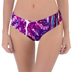 Histology Inc Histo Logistics Incorporated Masson s Trichrome Three Colour Staining Reversible Classic Bikini Bottoms by Mariart