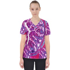 Histology Inc Histo Logistics Incorporated Masson s Trichrome Three Colour Staining Scrub Top by Mariart