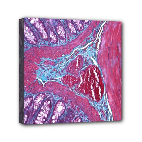 Natural Stone Red Blue Space Explore Medical Illustration Alternative Mini Canvas 6  X 6 