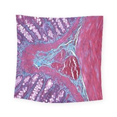 Natural Stone Red Blue Space Explore Medical Illustration Alternative Square Tapestry (small) by Mariart