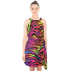 Rainbow Zebra Halter Collar Waist Tie Chiffon Dress by Mariart