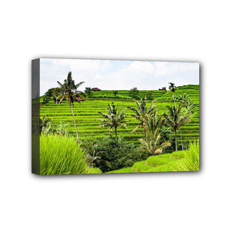 Bali Rice Terraces Landscape Rice Mini Canvas 6  X 4  by Nexatart