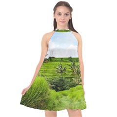 Bali Rice Terraces Landscape Rice Halter Neckline Chiffon Dress  by Nexatart