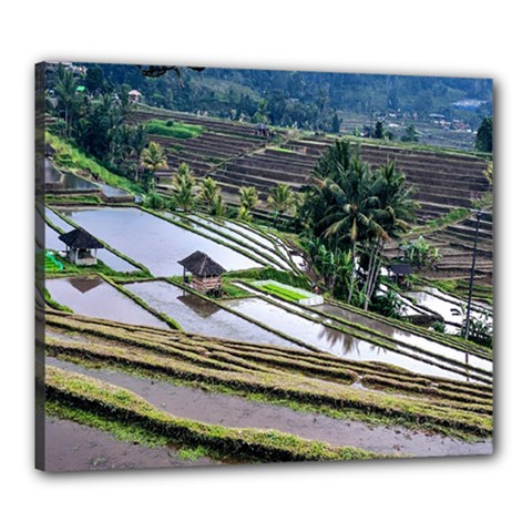 Rice Terrace Rice Fields Canvas 24  X 20  by Nexatart