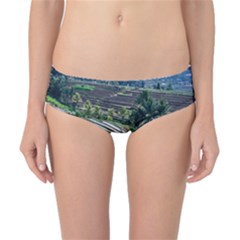 Rice Terrace Rice Fields Classic Bikini Bottoms