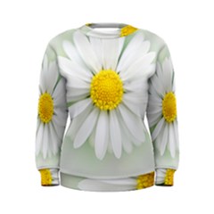 Art Daisy Flower Art Flower Deco Women s Sweatshirt by Nexatart