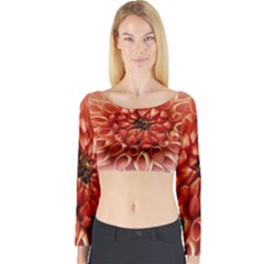 Dahlia Flower Joy Nature Luck Long Sleeve Crop Top by Nexatart