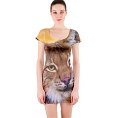 Tiger Beetle Lion Tiger Animals Short Sleeve Bodycon Dress by Mariart