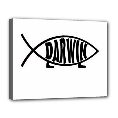 Darwin Fish Canvas 14  X 11 
